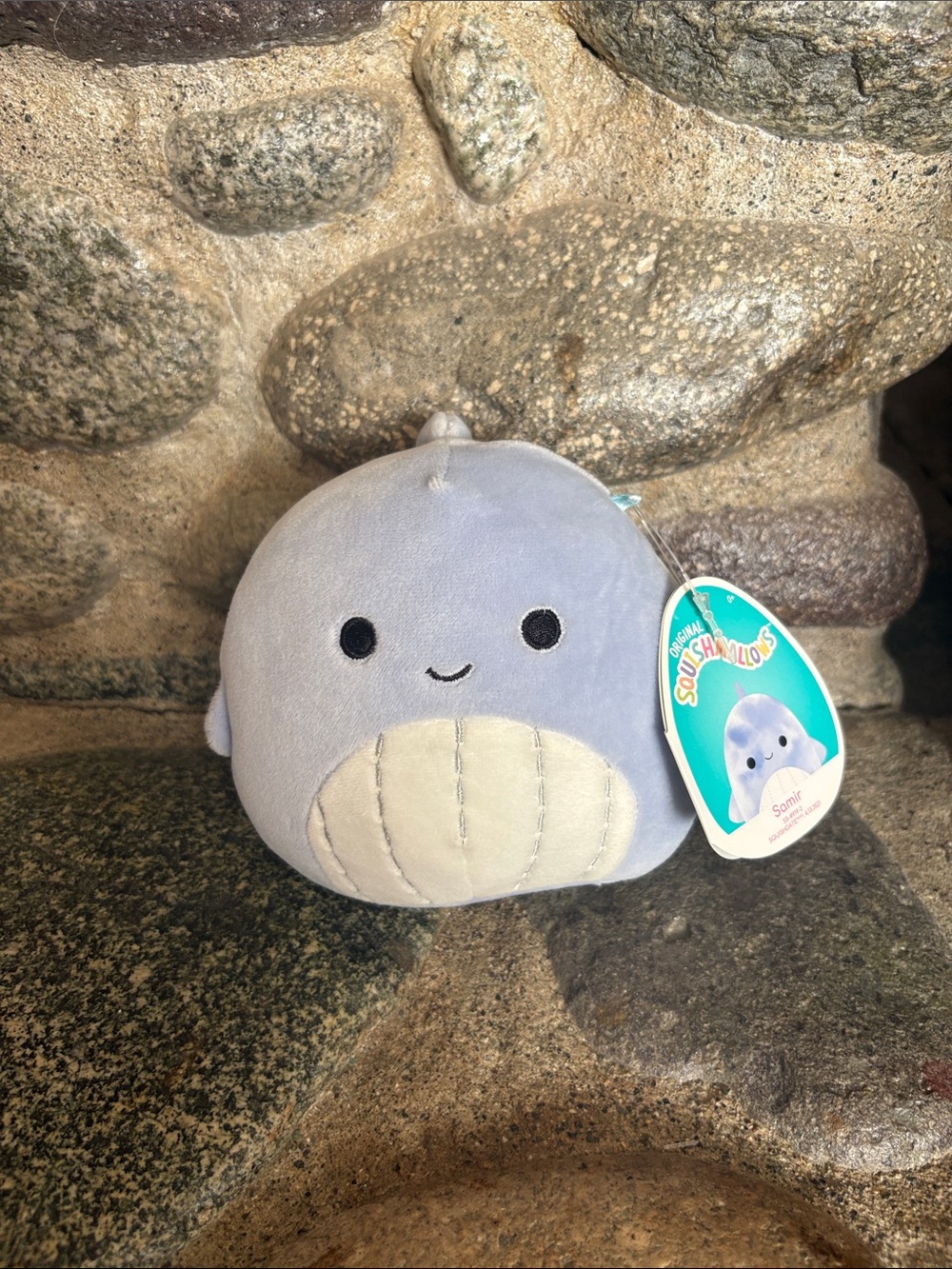 🐳 NWT 5” Samir the Whale Squishmallow - Canadian Exclusive!